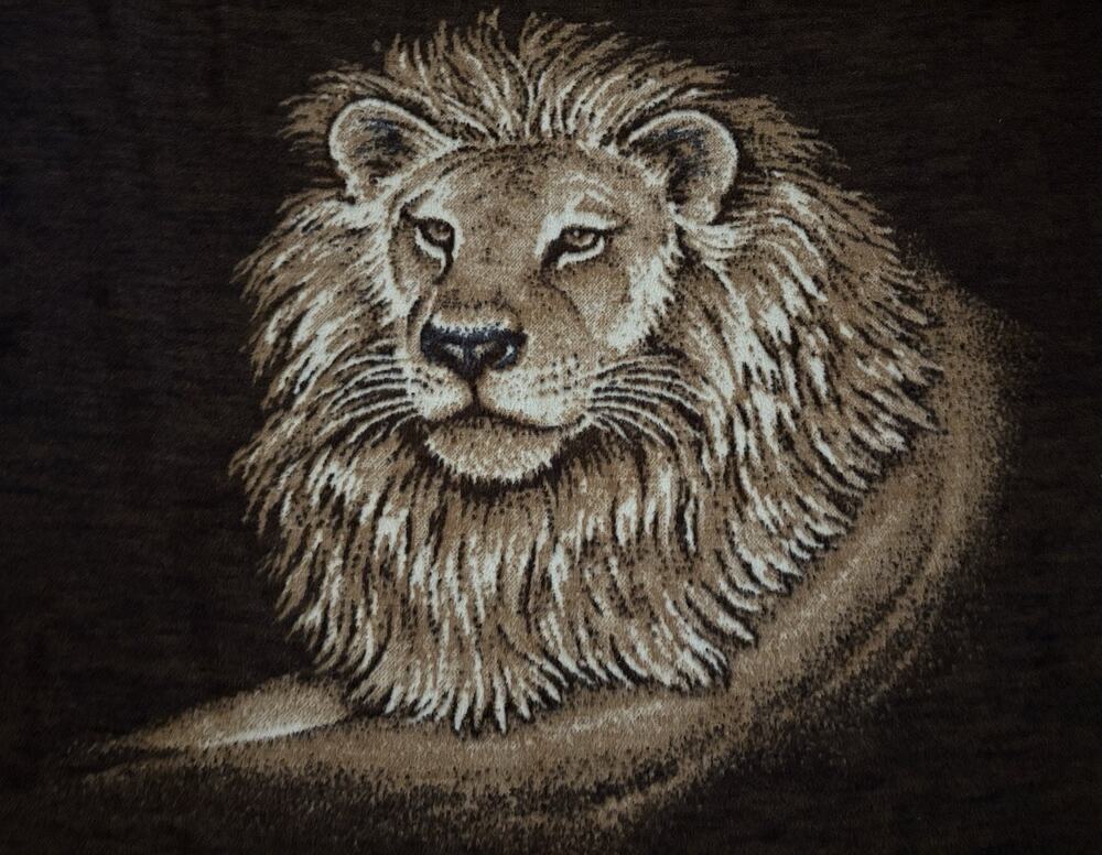 Vintage Biederlack Lion Reversible Acrylic Cotton Large Throw USA 60x68”